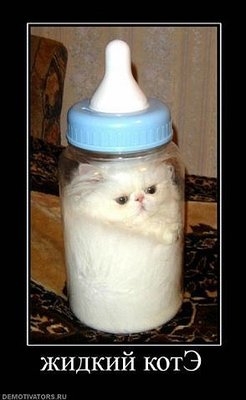 1.jpg (24.9 KiB) Viewed 31453 times 1.jpg