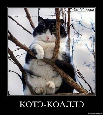 x_15365113.jpg (45.4 KiB) Viewed 31453 times x_15365113.jpg