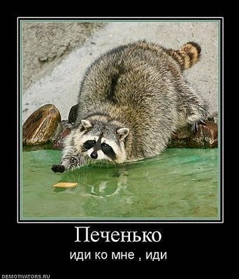 x_8474a6e3.jpg (43.73 KiB) Viewed 31456 times x_8474a6e3.jpg