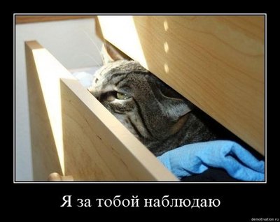 7269fec087a5.jpg (42 KiB) Viewed 31726 times 7269fec087a5.jpg