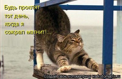 497190.jpg (33.51 KiB) Viewed 33009 times 497190.jpg