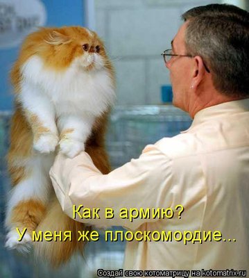 480834.jpg (40.17 KiB) Viewed 33009 times 480834.jpg