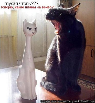 479000.jpg (45.95 KiB) Viewed 31709 times 479000.jpg