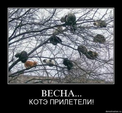 97614e115abf.jpg (75.11 KiB) Viewed 31983 times 97614e115abf.jpg