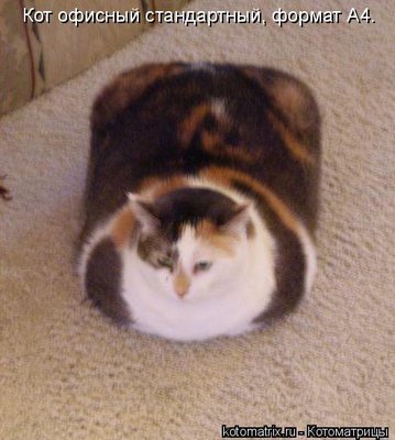 492926.jpg (42.49 KiB) Viewed 30616 times 492926.jpg