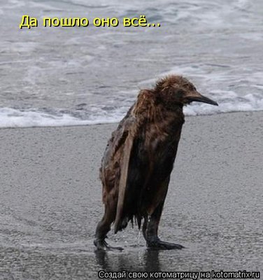 494695.jpg (45.53 KiB) Viewed 34228 times 494695.jpg