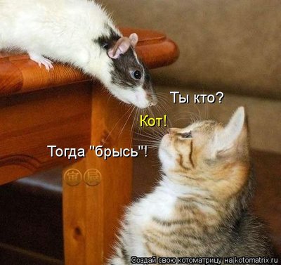 477673.jpg (50.78 KiB) Viewed 33335 times 477673.jpg